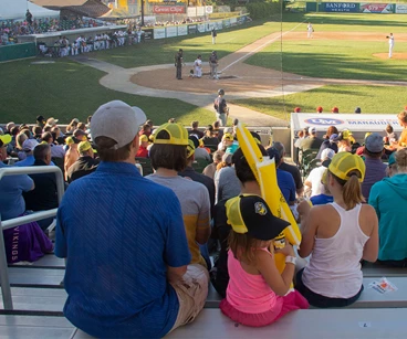 Bismarck Larks Baseball