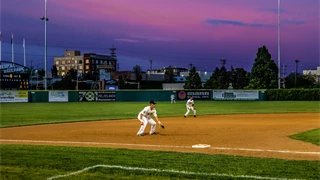 larks baseball